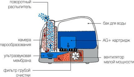 Какую воду заливать в увлажнитель воздуха: обычную или дистиллированную? Правила эксплуатации прибора
