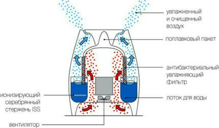 Какую воду заливать в увлажнитель воздуха: обычную или дистиллированную? Правила эксплуатации прибора