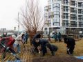 На полуострове Покровское-Стрешнево начались работы по дополнительному озеленению