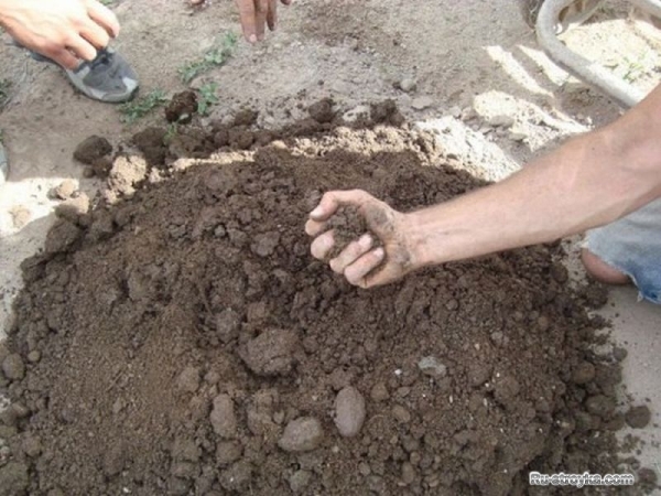 Строительство летнего домика без особых усилий и затрат. Фотографии.