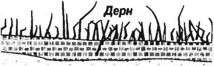 Дренаж из покрышки
