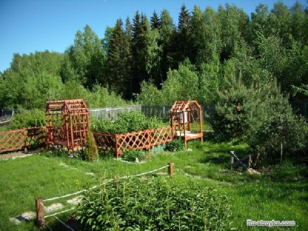 Сад моей мечты своими руками