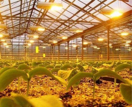 Натриевые лампы: разновидности, технические параметры, сфера применения + правила выбора