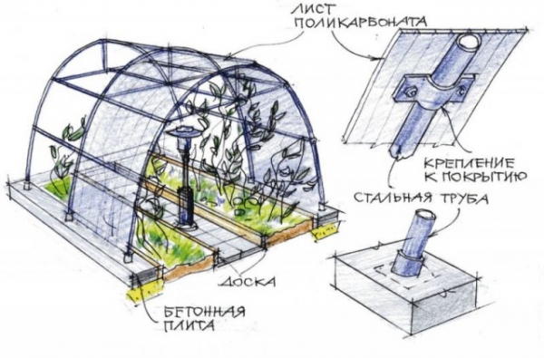 Как построить теплицу из поликарбоната своими руками